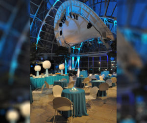 events7